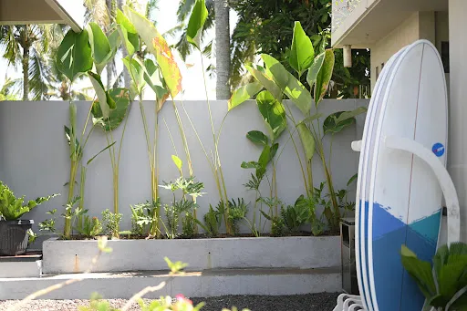 Sanava Balian 4