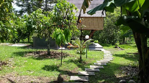 Natural Lodge 4