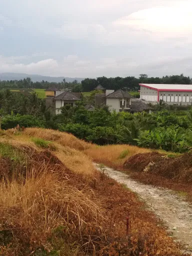 Amertha Jati Ukir 4