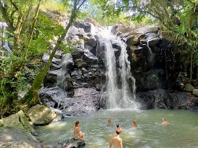 Clove Tree Hill - Bali Eco Retreat 1