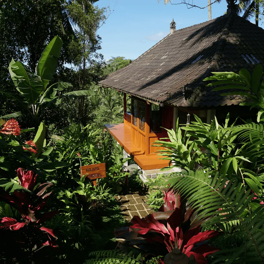 Clove Tree Hill - Bali Eco Retreat 2