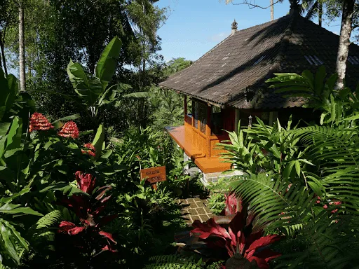 Clove Tree Hill - Bali Eco Retreat 4