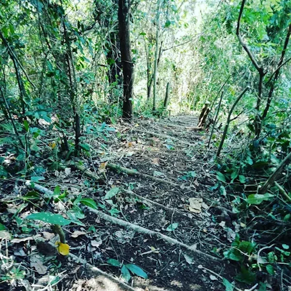 Nagasari Adventure 2