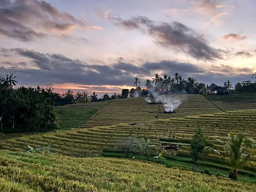 Baligrass Retreats 1
