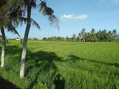 Abian Kapas Beach 1