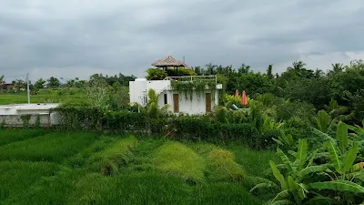 Bali Beach Glamping 4