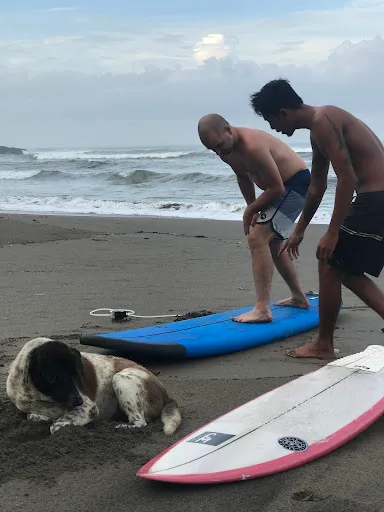 kebali surf lesson 2