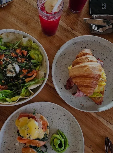 The Avocado Factory 3