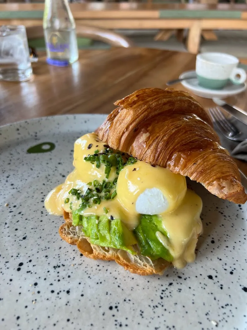 The Avocado Factory 4