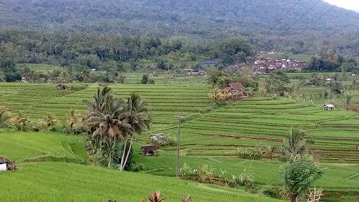 Bali Tour Magic 1