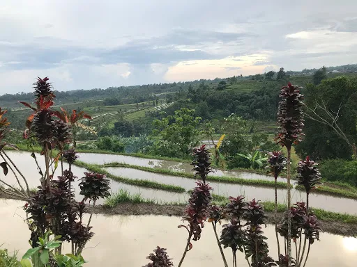 Bali Tour Magic 3