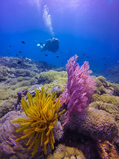 KHATULISTIWA Dive Centre 1