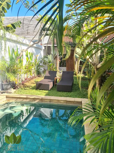 The Jungle House 1