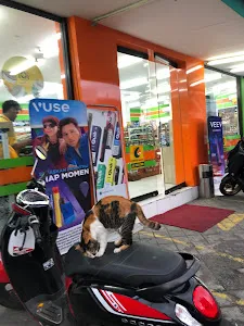 Coco Mart 4