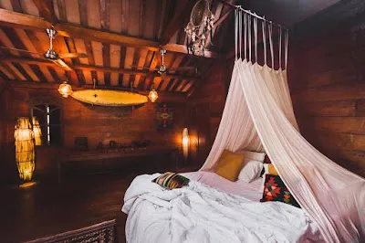 Jungleroom 1