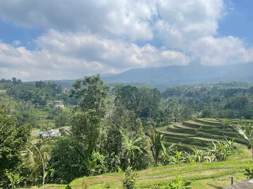 Archipelago Adventure 1