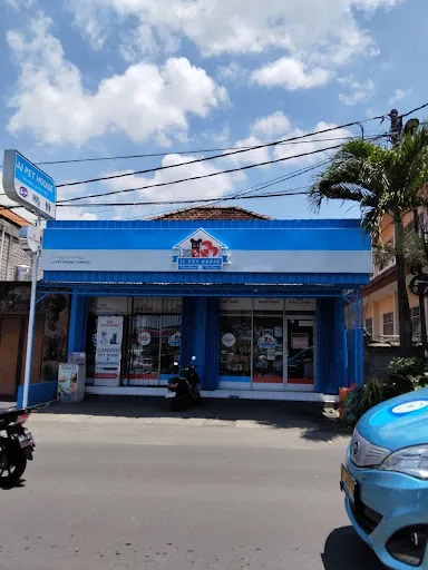 Bali Pet Shop Canggu 1