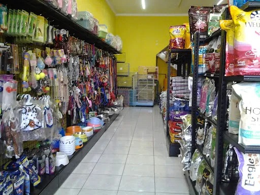 Bali Pet Shop Canggu 2
