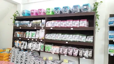 Bali Pet Shop Canggu 4