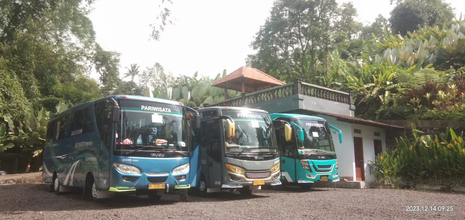 Shuttle bus & rental scooter YanDu 4