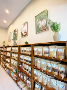 Green Habit Kerobokan 4