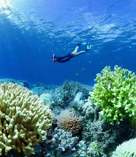 Bali Tour Activities 3