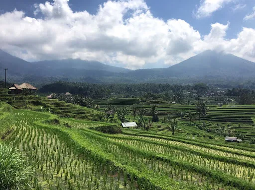 Bali Tour Activities 4