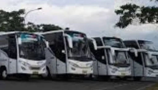SEWA BUS BALI 1