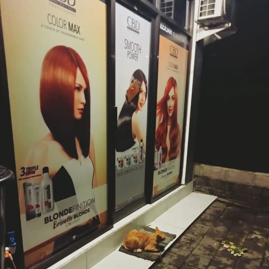 " Alexsan Salon" 1