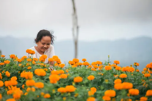 Theo Widharto - Bali Photographer 4