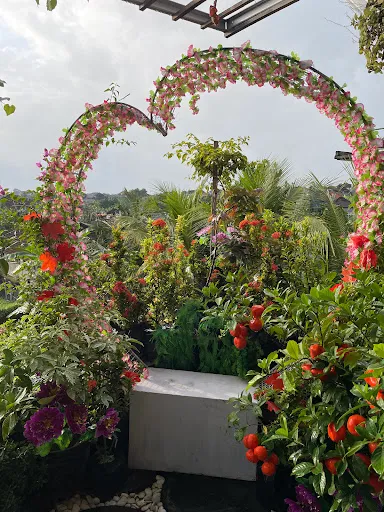 Bali Chy Healing Canggu 2