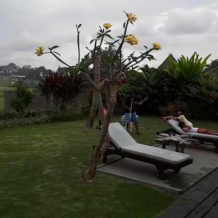 Carik Bali Guest House 1