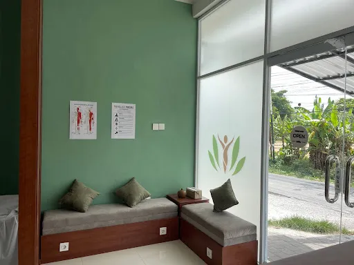 Terra Physio (Physiotherapy and Rehab in Bali) 2
