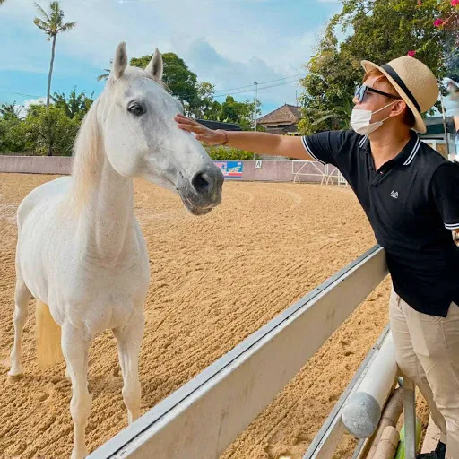 Royal Sport Horse Bali 4