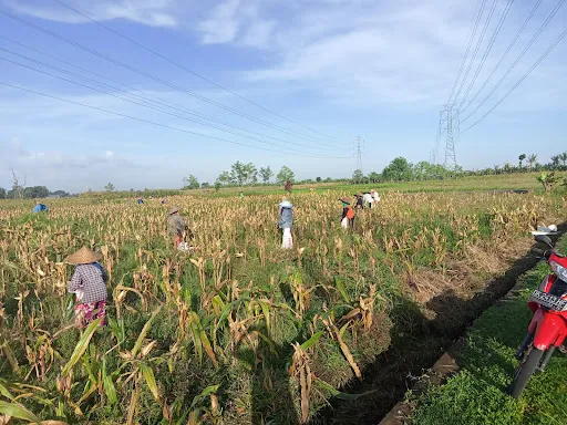Desa Wisata Kaba-Kaba 4