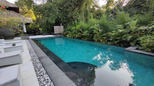 Omecure Bali 2