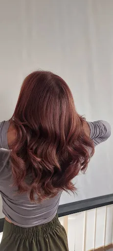 Hairdos Salon 2