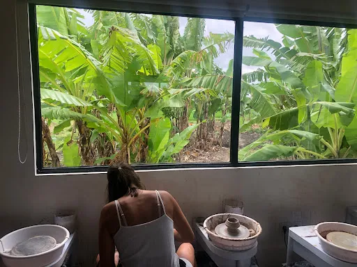 Vagabond design lab 4