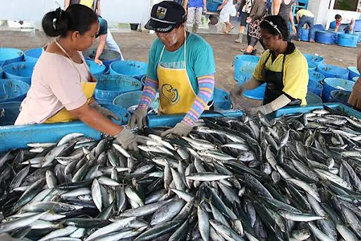 Ikan laut segar Denpasar bali 1