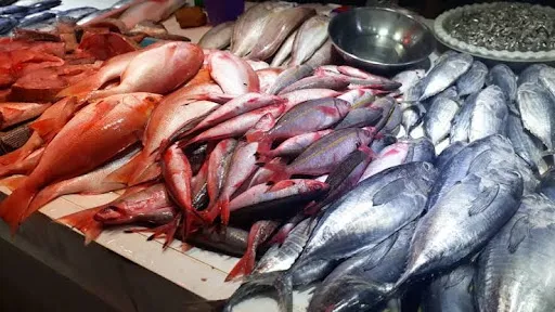 Ikan laut segar Denpasar bali 2