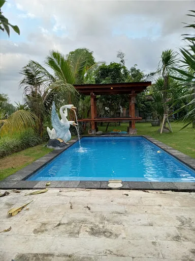 De Vir House 2