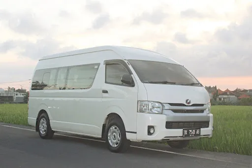 BALI COMFY TRIPS 1