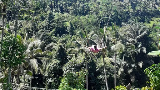 BALI PARADISE TOUR & TRAVEL 4