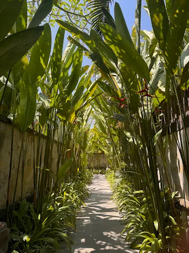 Kharista Wellness - by Ekosistem 3