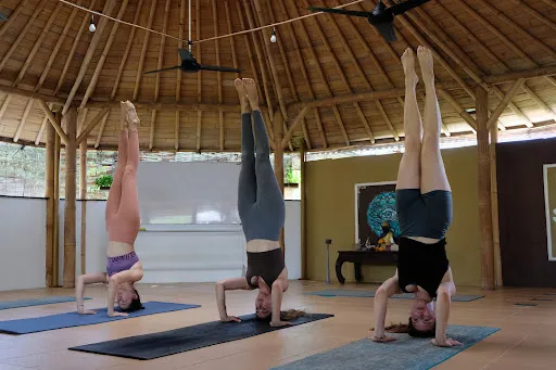 Anandam Yoga School - Yoga Teacher Training Bali 2