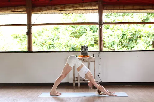 Anandam Yoga School - Yoga Teacher Training Bali 4