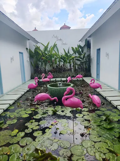 Tonic Massage and Botanicals 1