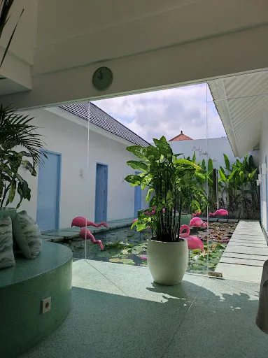 Tonic Massage and Botanicals 3