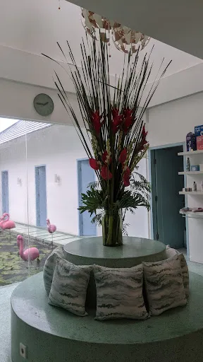 Tonic Massage and Botanicals 4