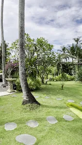 Coco Verde 1